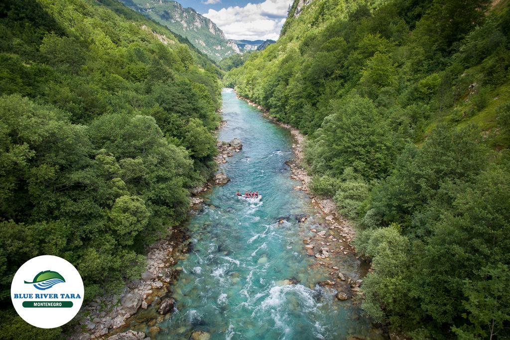 Rafting Blue River Tara Scepan-Polje Ngoại thất bức ảnh